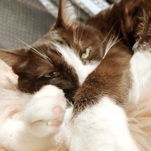 Meet your Posher, Rilynn